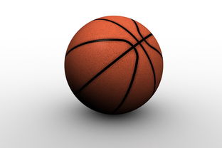 FB体育平台-中国篮球职业联赛俱乐部青训人才培养模式创新,中国篮球青训队