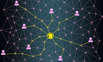 FB体育官网-体育赛事数据分析与决策支持系统,体育赛事现状分析