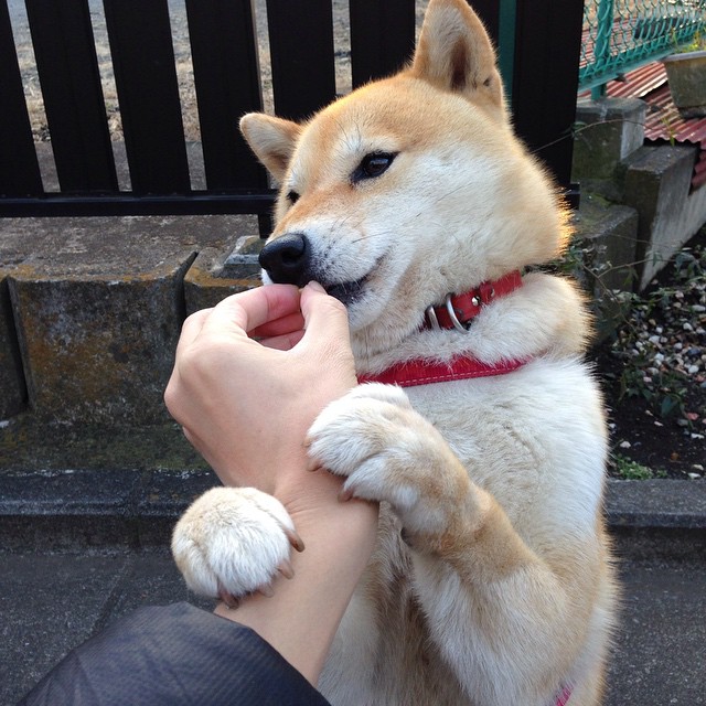 fb体育全站-全国青少年游泳锦标赛江浙皖强手如林，2021年青少年游泳锦标赛