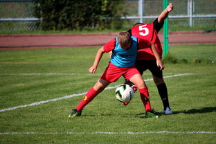 FB体育在线直播平台-篮球运动员训练负荷监控系统开发与应用研究，篮球运动员运动负荷量