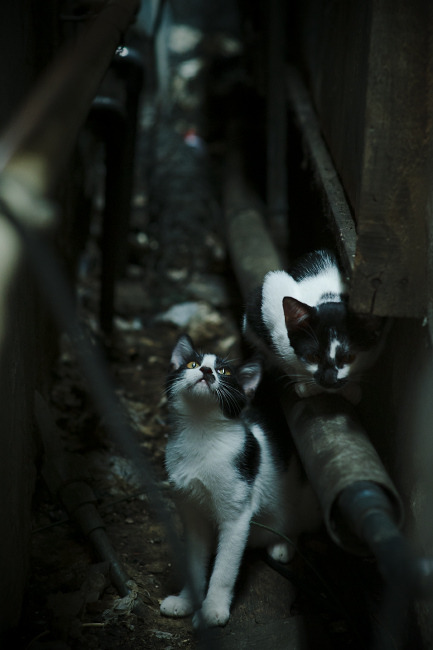 FB体育注册网址-英超比赛中压迫防守对对手传球线路限制效果分析,英超哪个球队打防守反击