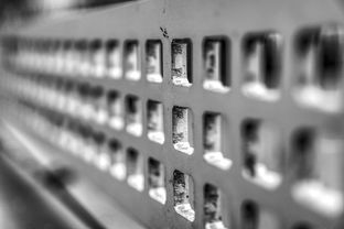 FB体育app下载-运动康复技术在青少年体能提升中的应用研究,运动康复体系