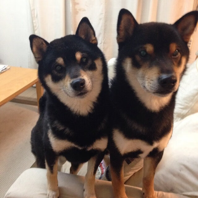 FBSPORTS-青少年体育运动中的安全教育对策，青少年体育运动中的安全教育对策有哪些