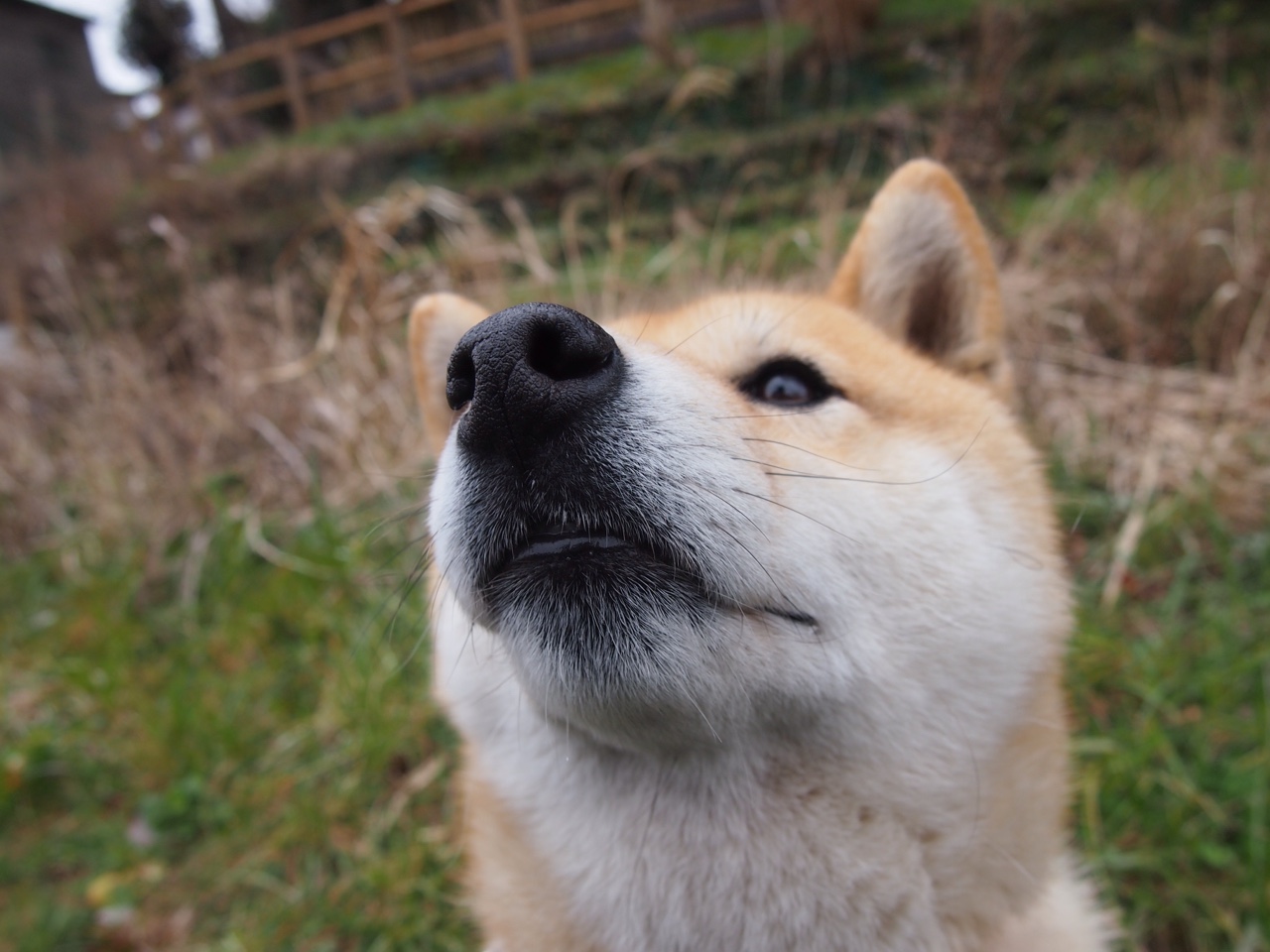 FBSPORTS-青少年体育运动中的安全教育对策,青少年体育运动中的安全教育对策有哪些