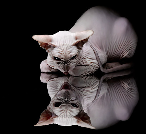 fb体育中国-LOL新版本更新大幅调整打野节奏，lol新版本更新大幅调整打野节奏