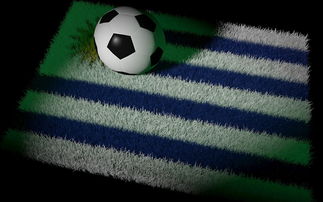 FB体育-世界杯预选赛中国队晋级 球员发挥稳定,世界杯预选赛中国队的成绩