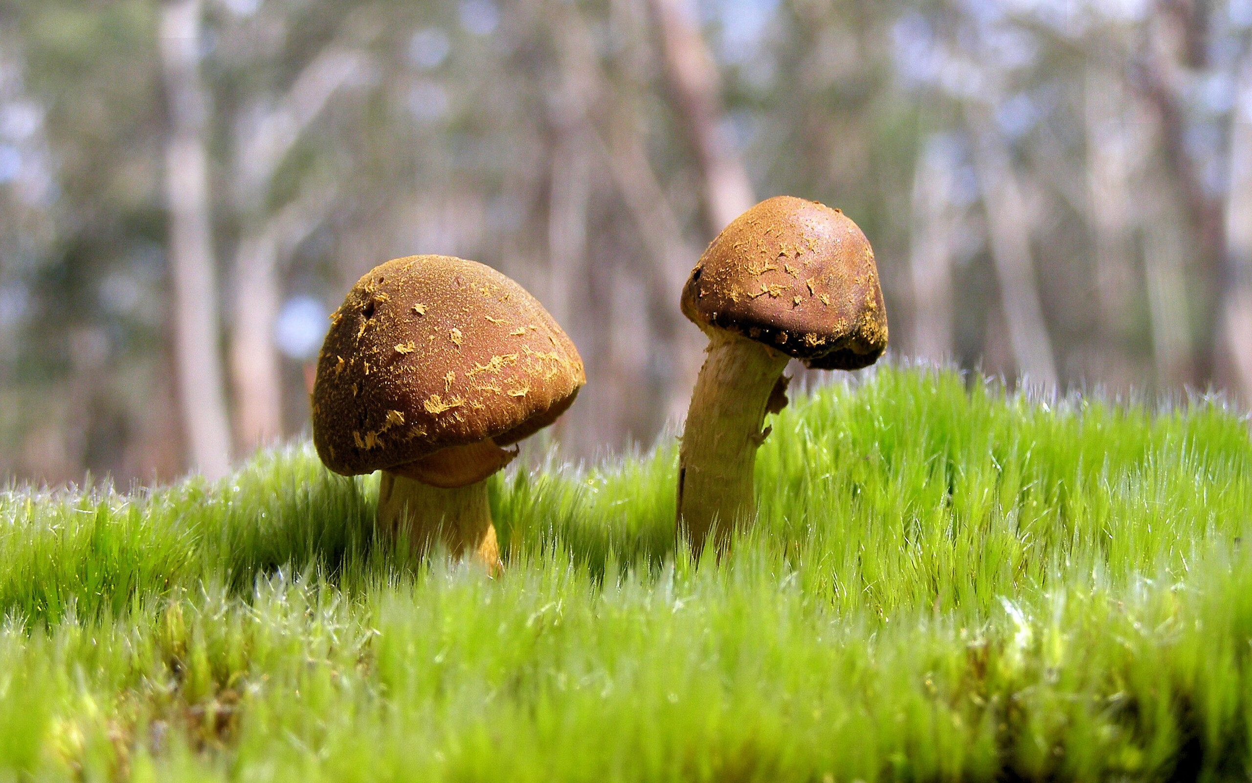 FBSPORTS-中国男篮教练组调整 注重技战术多样性,2021中国男篮教练组成员