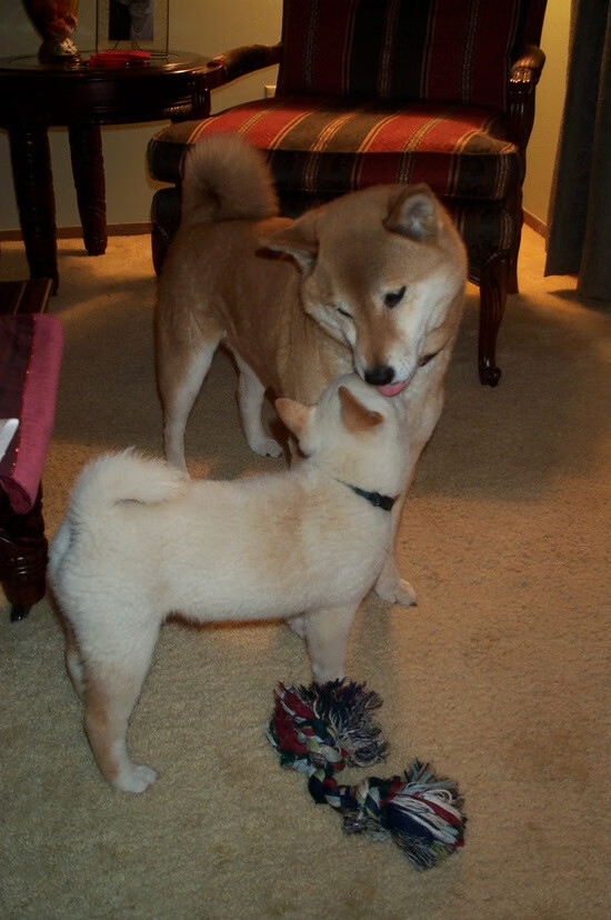 FB体育-主帅伊戈尔·图多尔呼吁球队学习经验提升,伊戈尔个展