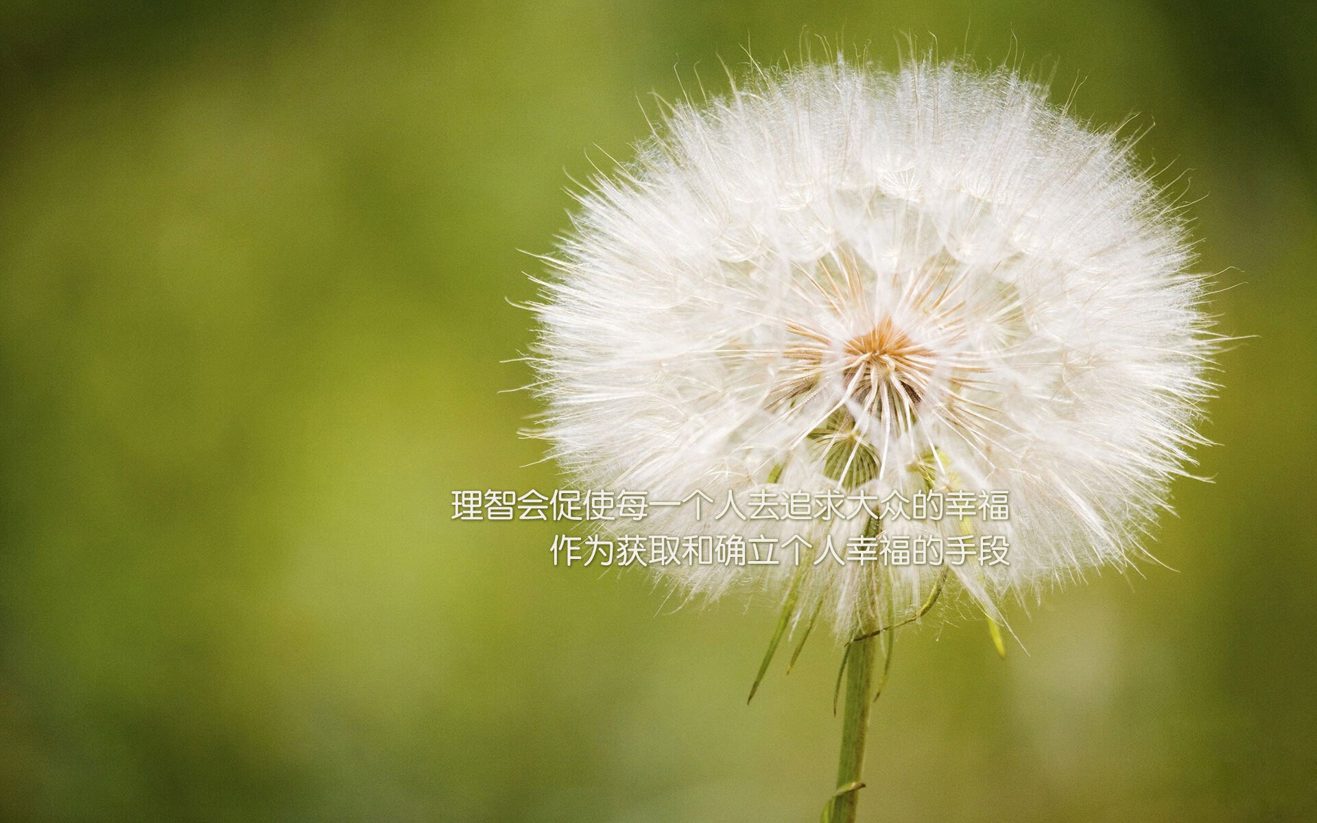 FB体育官方网站-体育新闻中心完成数字内容系统升级,体育新闻资讯